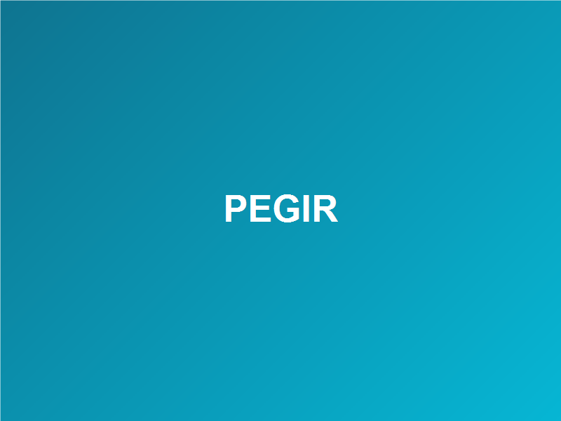 PEGIR